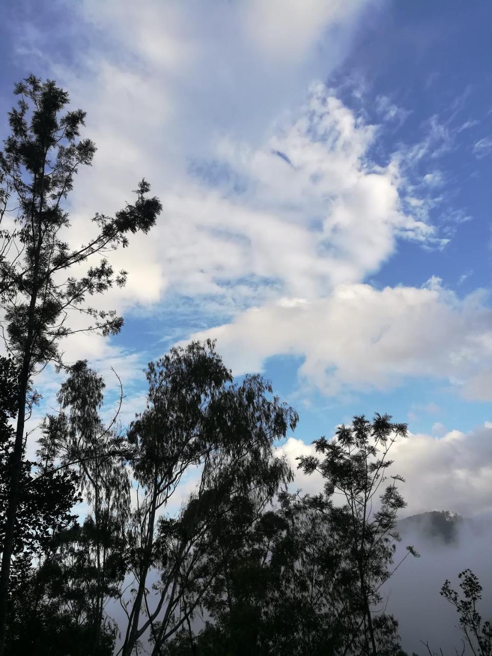 "Mount'N Mist" Apartment Ella Ngoại thất bức ảnh