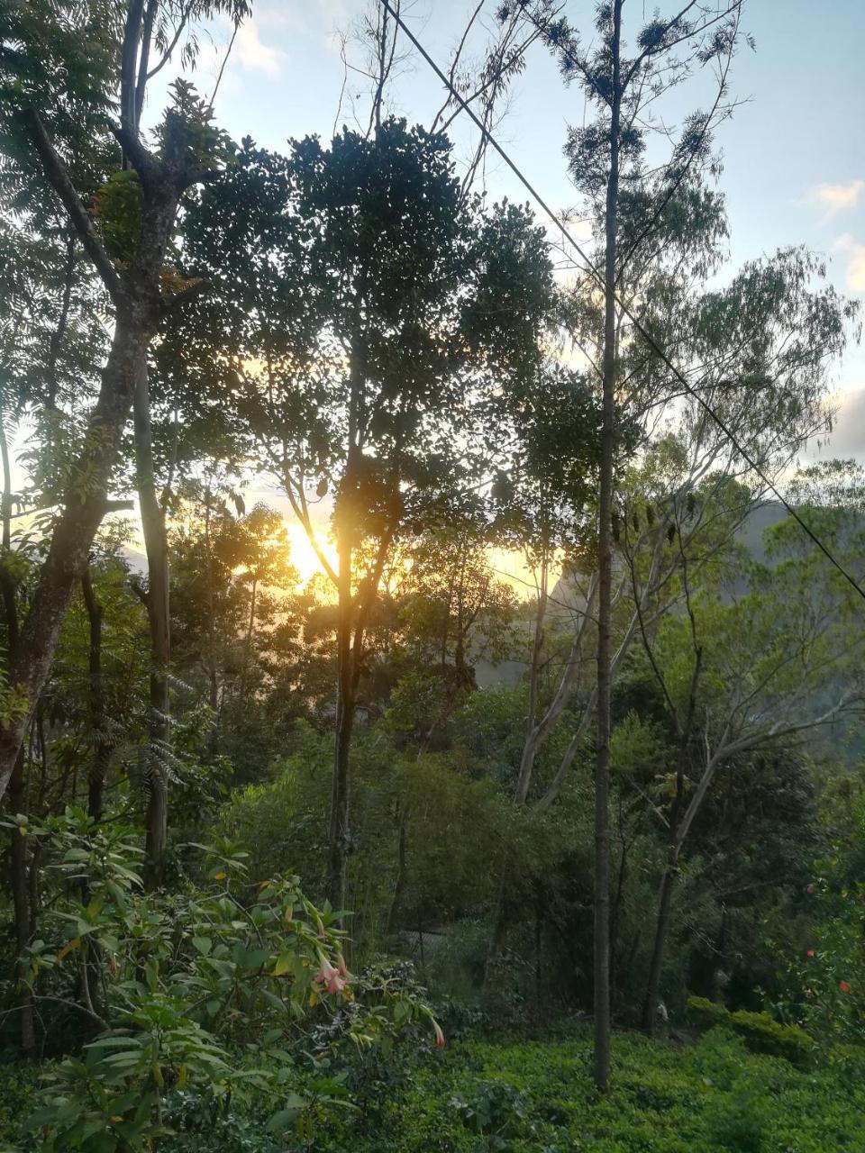 "Mount'N Mist" Apartment Ella Ngoại thất bức ảnh